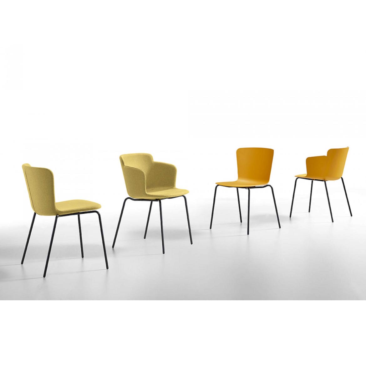 Calla 203 armchair