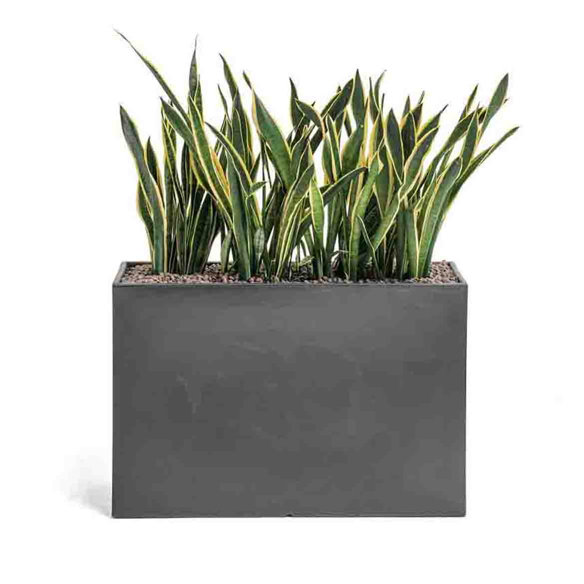 Kado pot